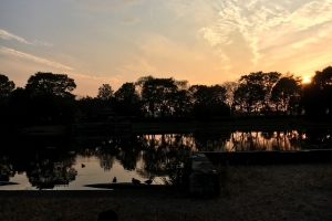 県西総合公園のベストショット