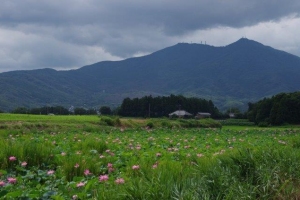 筑波山写真