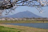 母子島遊水地