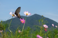 宮山公園南側